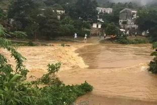 深圳爆料山洪最新消息新闻,深圳山洪突发!最新救援进展及受灾情况通报 第2张 深圳爆料山洪最新消息新闻,深圳山洪突发!最新救援进展及受灾情况通报 第2张